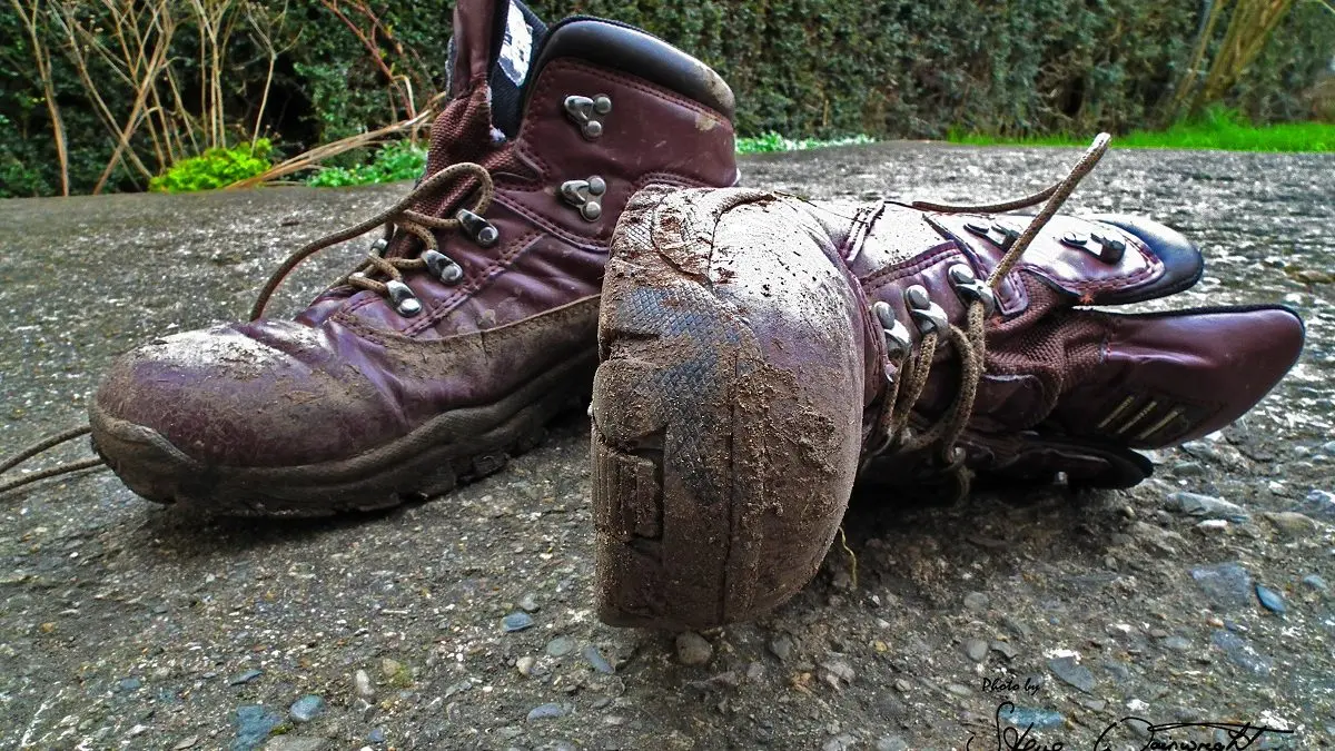 What to Pack for Last-Minute Gorilla Tracking in Uganda or Rwanda.