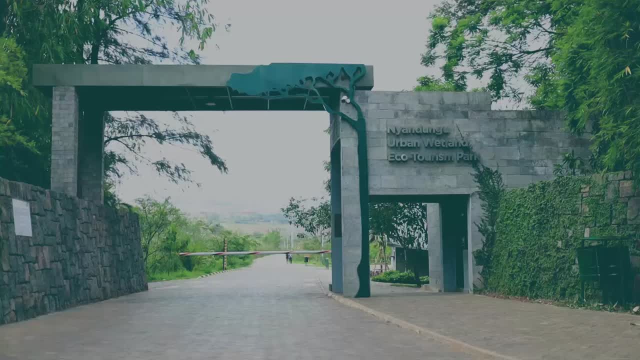 Nyandungu Eco Tourism Park